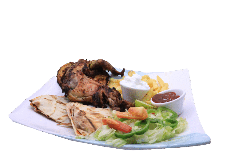 Meat Chicken